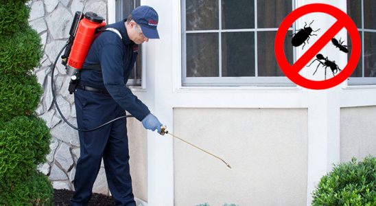 Tekman Tahtakurusu İlaçlama böcek ilaçlama ve haşere kontrolü — ilaclama-tr.com